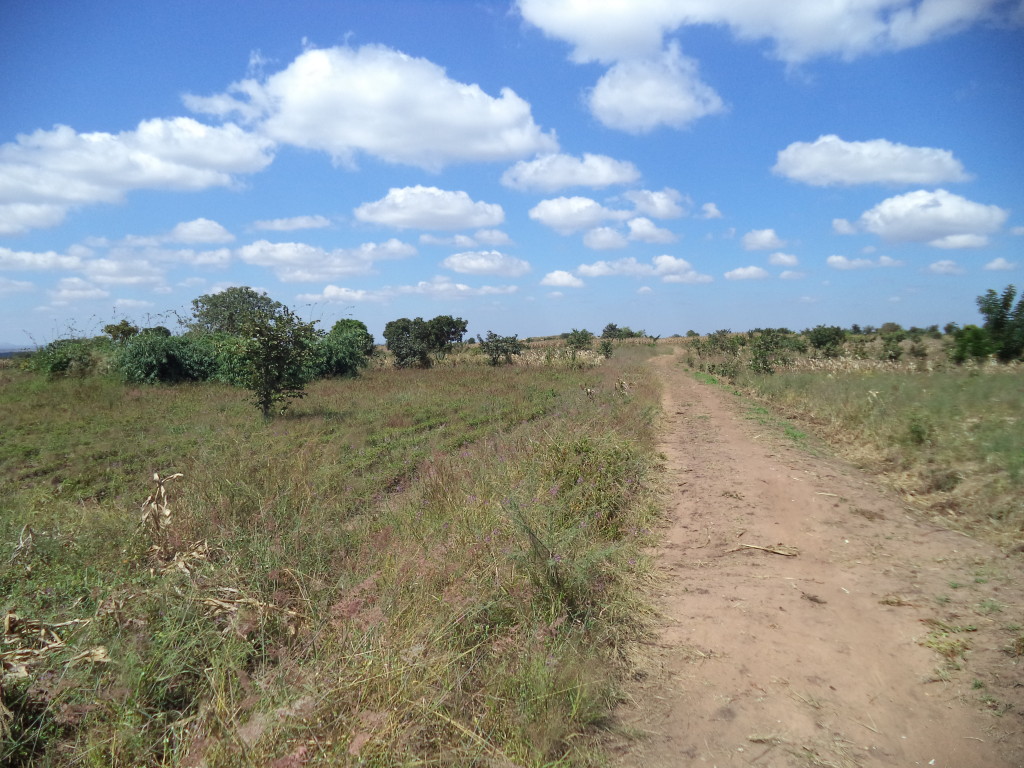 The road to Tambala village.